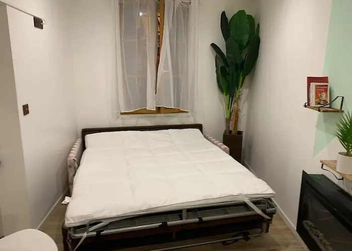 Studette Le Figuier *